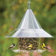 Arundale Sky Cafe Feeder with birds feeding on it, highlighting its spacious design and anti-squirrel baffle.