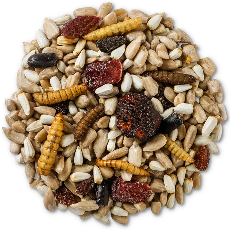Wild Delight Bugs N' Berries Wild Bird Seed, 4.5-lb bag, featuring various seeds, dried fruits, and protein-rich dried insects for attracting diverse bird species.