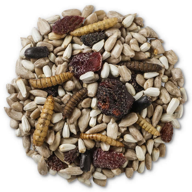 Wild Delight Bugs N' Berries Wild Bird Seed, 4.5-lb bag, featuring various seeds, dried fruits, and protein-rich dried insects for attracting diverse bird species.