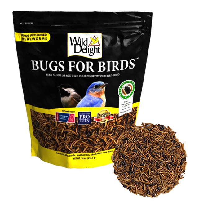 Wild Delight Bugs For Birds, 16 oz. bag, featuring a protein-rich blend of dried black soldier fly larvae, mealworms, and darkling beetles for insect-eating birds.