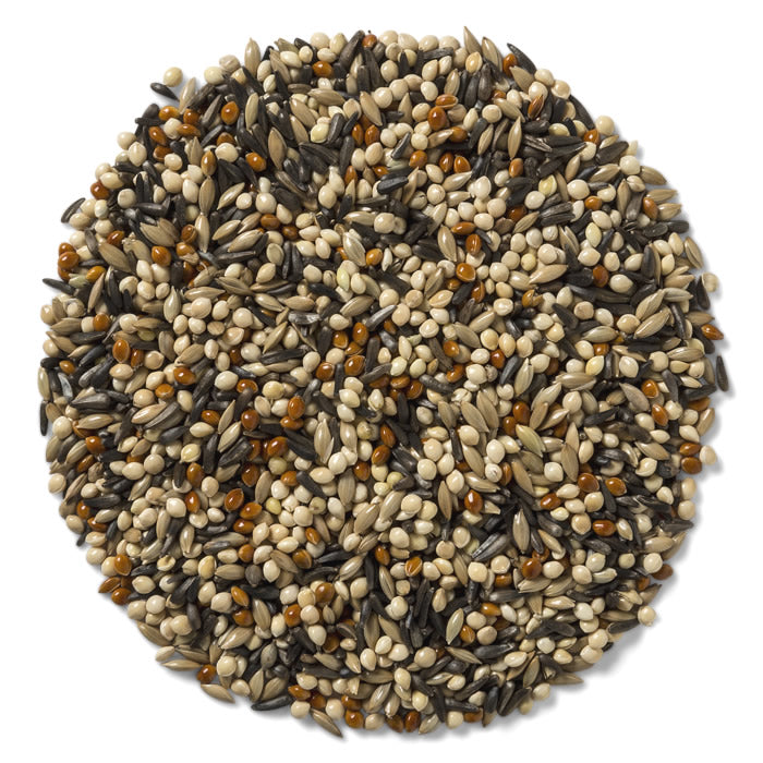 Wild Delight Outdoor Finch Wild Bird Seed, 5-lb bag, displaying a blend of millet, canary grass seed, and Nyjer® seed in a circular pile.