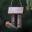 Two Cake Suet Buffet Feeder with a sparrow perched on it, featuring double suet cake slots and bird-friendly grids for easy feeding.