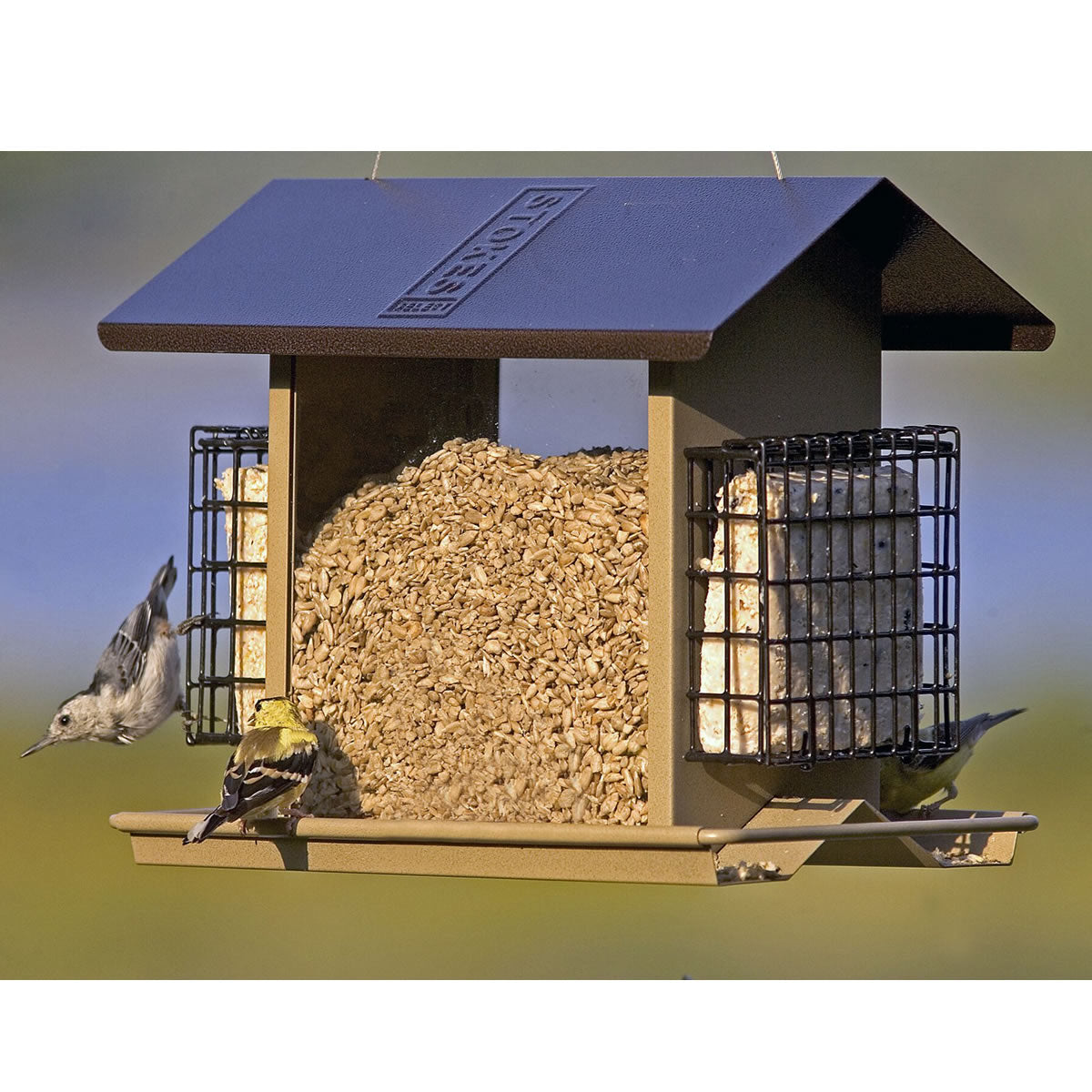 Hopper Feeder with Suet Cages