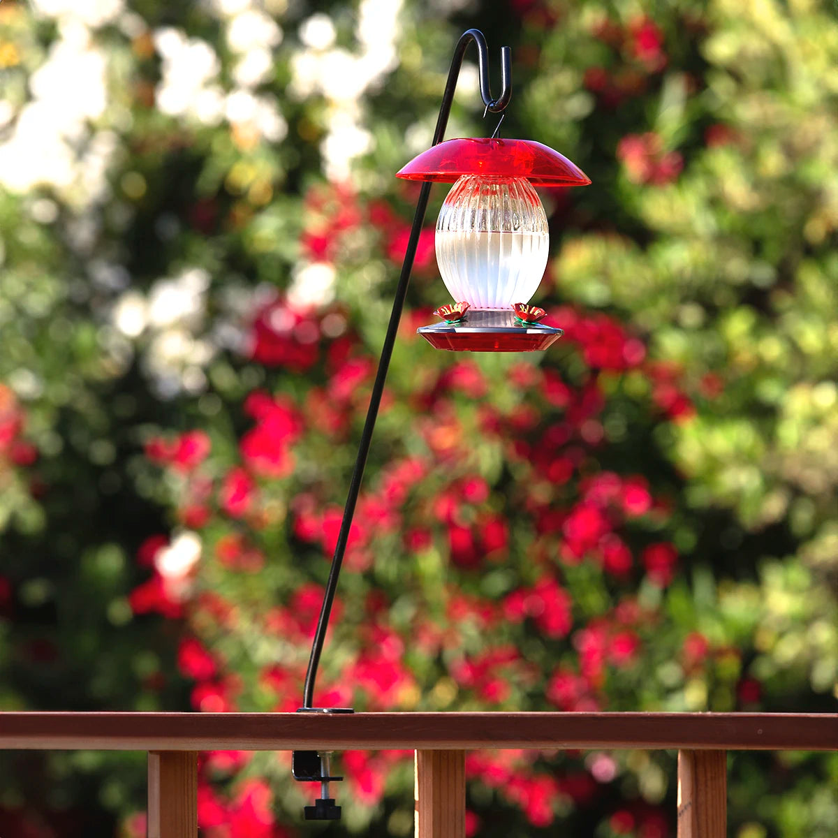 Clamp-On Deck Hook on railing, holding a red-clear hummingbird feeder, ideal for bird watching. Sturdy steel construction with adjustable clamp for easy deck attachment.