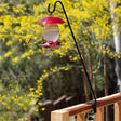 Clamp-On Deck Hook holding a hummingbird feeder, mounted on a deck railing, showcasing its sturdy black steel construction and easy-to-use adjustable clamp.