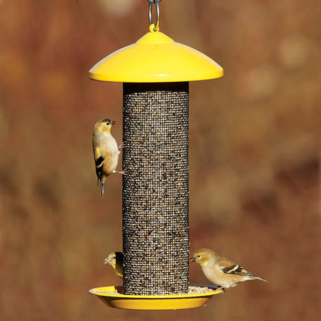 Finch Screen Feeder with birds feeding, features metal mesh, seed diverter, hanging loop, and perching tray. Ideal for attracting goldfinches.