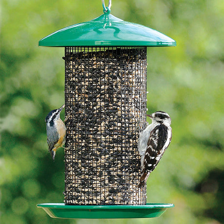 Seed Screen Bird Feeder with mesh screening, showing multiple birds clinging and perching while feeding.