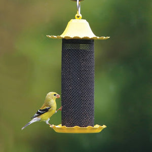 Little Bit Finch Feeder with a yellow finch perched on the all-metal feeder, featuring mesh openings, a seed catch tray, and a hanging loop.