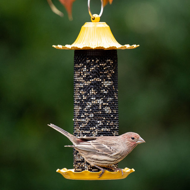 Little Bit Finch Feeder with a finch perched on the mesh, showcasing easy clinging and a seed catch tray for reduced waste.