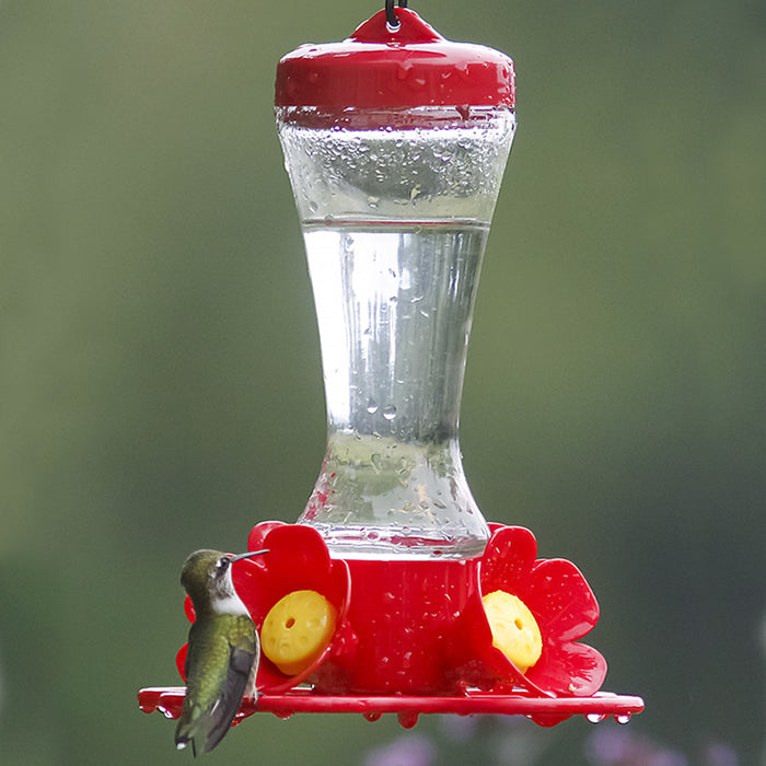 Impatiens Hummingbird Feeder with red and yellow flower-shaped feeding ports on a clear glass reservoir, attracting a hummingbird.