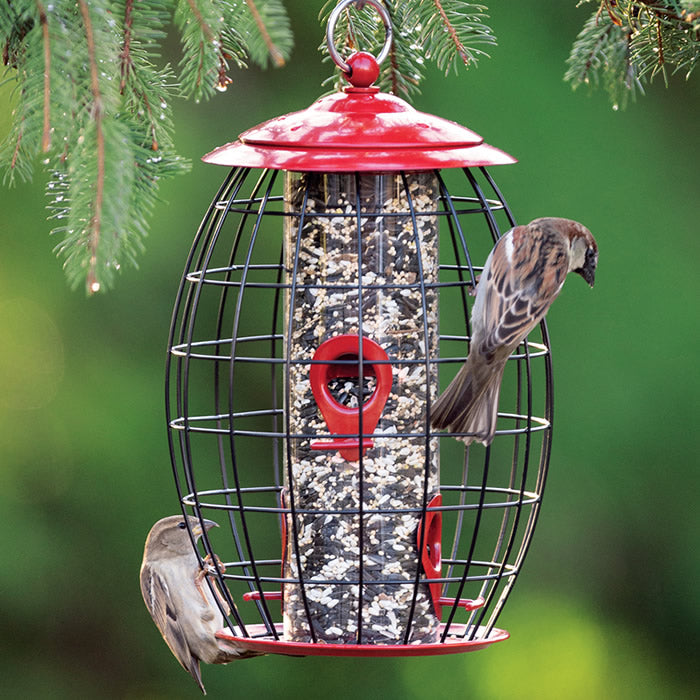 1950's Diner Bird orders Feeder