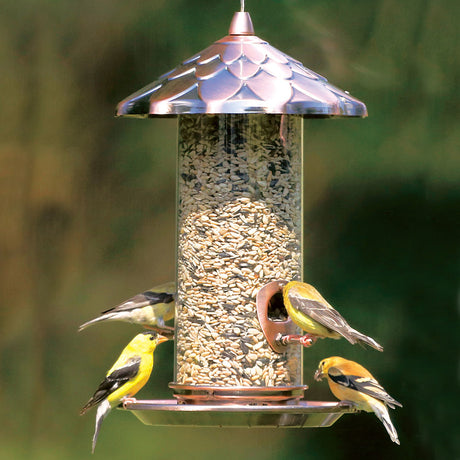 Copper Acorn Seed Feeder with yellow finches perched, crystal clear seed chamber, two perches, catch tray, twist-off roof, and built-in diverter for fresh seed flow.