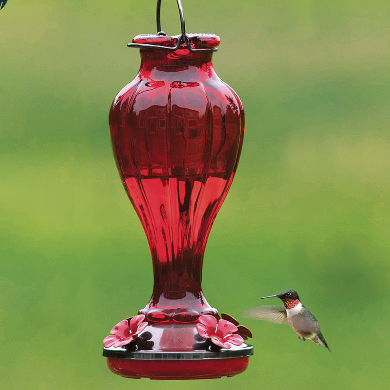 Blossom Hummingbird Feeder: a red glass feeder with four flower-shaped feeding ports, observed in use by a hovering hummingbird.