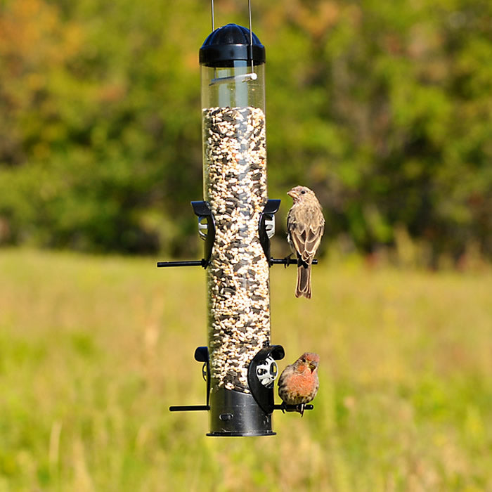 Squirrel Shield Tube Feeder with birds perched and feeding, featuring rotating port guards, four perches, and metal seed ports.