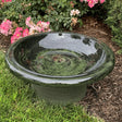 Short Hunter Green Fiber Clay Bird Bath in grass, featuring a wide basin ideal for bird watching, lightweight and easy to move, with a natural yard accent.