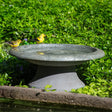 Short Cool Grey Fiber Clay Bird Bath with birds perched on its basin, showcasing the product's low profile and spacious design suitable for garden settings.