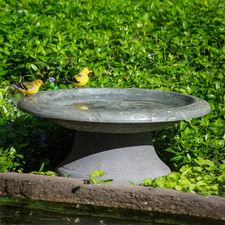 Short Cool Grey Fiber Clay Bird Bath with birds perched on its basin, showcasing the product's low profile and spacious design suitable for garden settings.