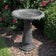 Sand Fiber Clay Bird Bath in a garden, featuring a full-sized basin for birds to play and splash. Lightweight and easy to move.