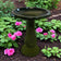 Birds & Beyond Fiber Clay Bird Bath, Hunter Green, featuring a stone pedestal with a full-sized basin, placed in a lush garden setting.