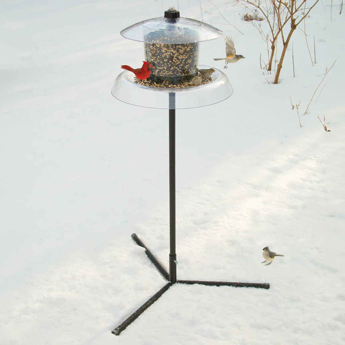 Droll Yankees Jagunda Squirrel-Proof Bird Feeder with Auger: Birds feeding at a squirrel-proof hopper feeder in the snow, featuring an adjustable seed valve and built-in bottom baffle.