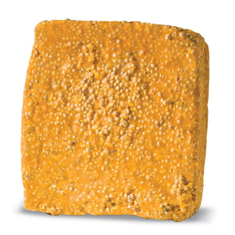 Hot Pepper Suet Plus, 12 Cakes – Close-up of a square suet block with seeds, ideal for feeding birds year-round, deterring squirrels, and providing essential nutrients.