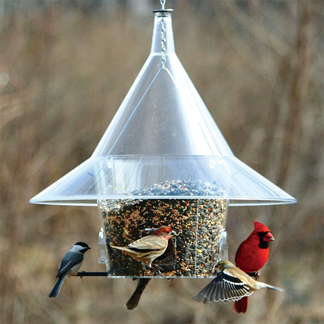 Arundale Mandarin A La Carte bird feeder with birds using its four seed ports, designed to deter squirrels with its large overhanging hood.