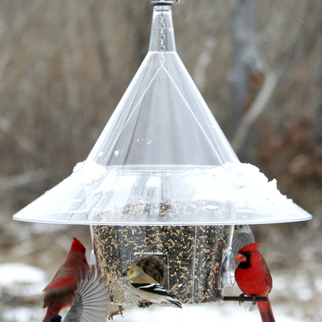 Arundale Mandarin Squirrel Proof Feeder with birds feeding; features a large, clear hood to deter squirrels, four seed ports, and a 24-inch hanging chain.