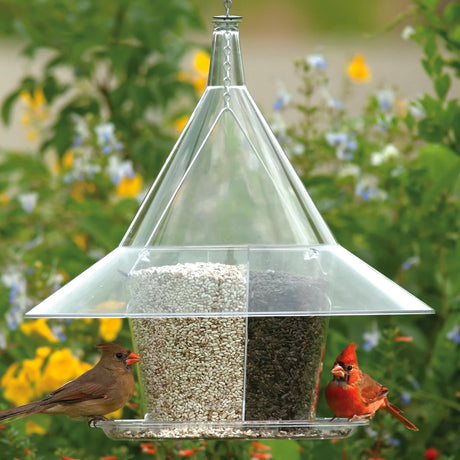 Arundale Sky Cafe A La Carte bird feeder with birds on the tray, featuring four seed compartments and a squirrel-proof design.