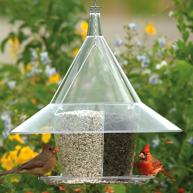 Arundale Sky Cafe A La Carte bird feeder with birds on the tray, featuring four seed compartments and a squirrel-proof design.