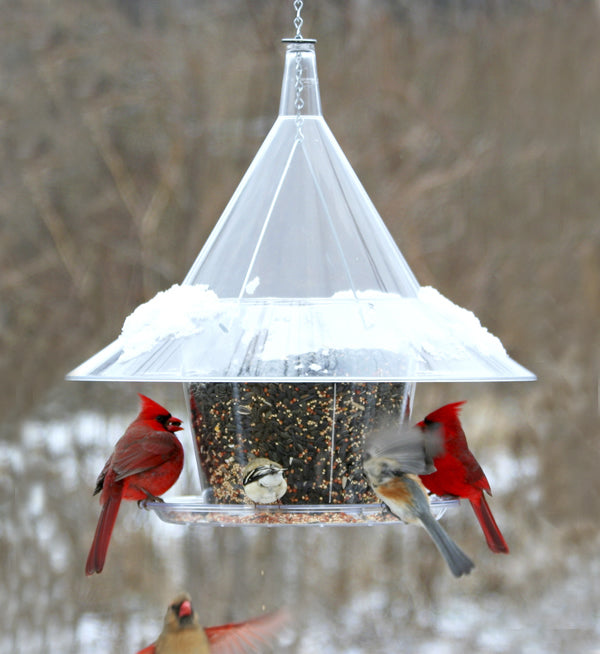 Arundale Sky Cafe A La Carte bird feeder with four seed compartments and a squirrel-proof design, shown with cardinals feeding in a snowy outdoor setting.