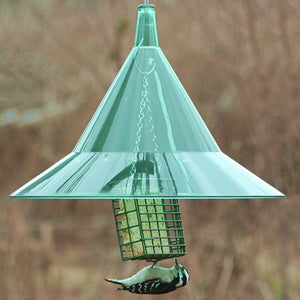 Arundale Emerald Squirrel Guard protecting a bird feeder, featuring a large, angled hood designed to prevent squirrels from accessing the bird seed.