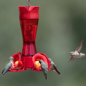 Pinch Waist Hummingbird Feeder