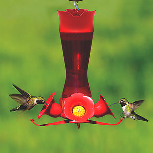 Pinch Waist Hummingbird Feeder with four feeding stations, ant moat, and bee guards, attracting hummingbirds near a red feeder.