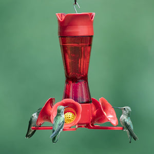 Pinch Waist Hummingbird Feeder