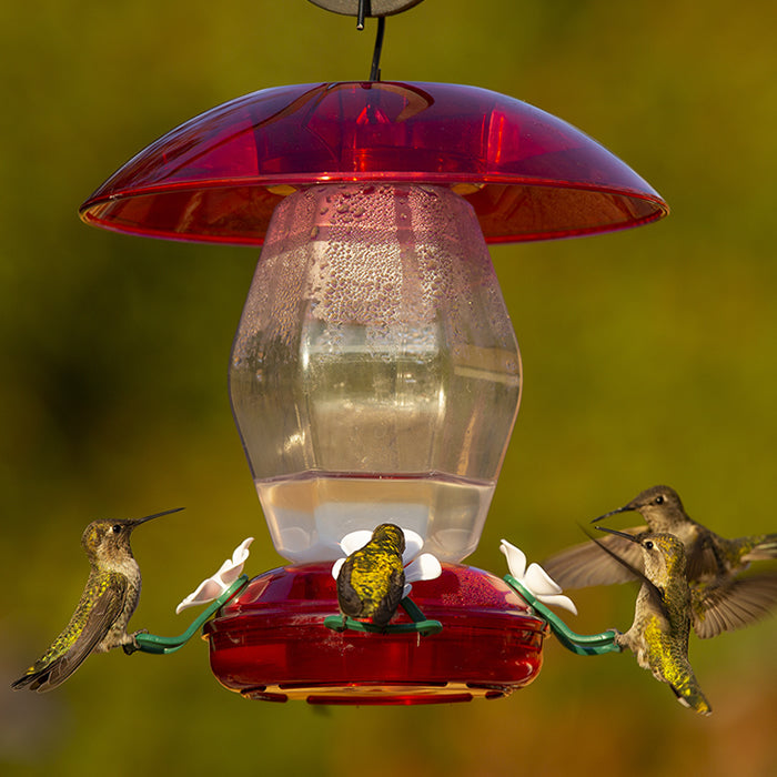 Jubilee Hummingbird Feeder with hummingbirds feeding, featuring clear plastic reservoir, white flower ports, and green perches, designed for easy viewing and cleaning.