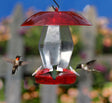 Jubilee Hummingbird Feeder with red weather guard, four white flower-shaped feeding ports, green perches, and clear plastic reservoir, attracting hummingbirds around the feeder.