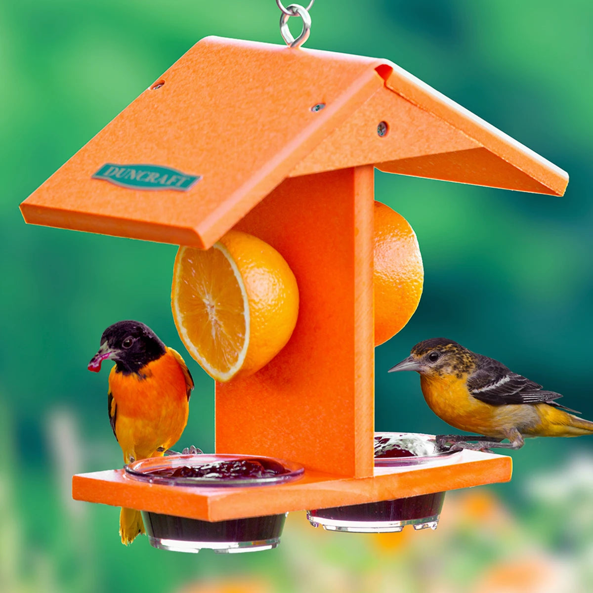 Duncraft Eco Oriole Fruit Jelly Feeder