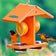 Duncraft Eco-Oriole Fruit & Jelly Feeder with orange slices, grape jelly dishes, and birds perched on feeder, designed to attract orioles.