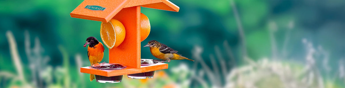 New arrivals collection of bird feeders and houses from Duncraft - trusted by bird enthusiasts since 1952.