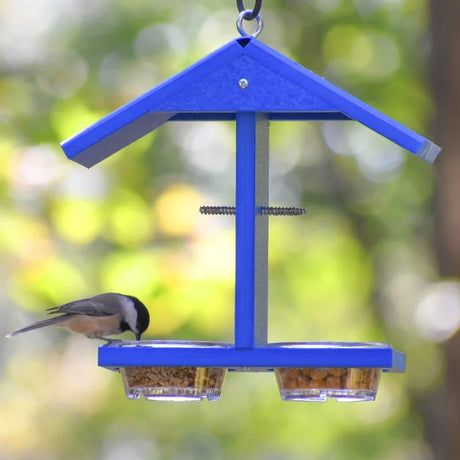 Duncraft Eco-Bluebird Feeder with two clear seed cups and a songbird perched, showcasing its functional design for attracting bluebirds using mealworms and suet balls.