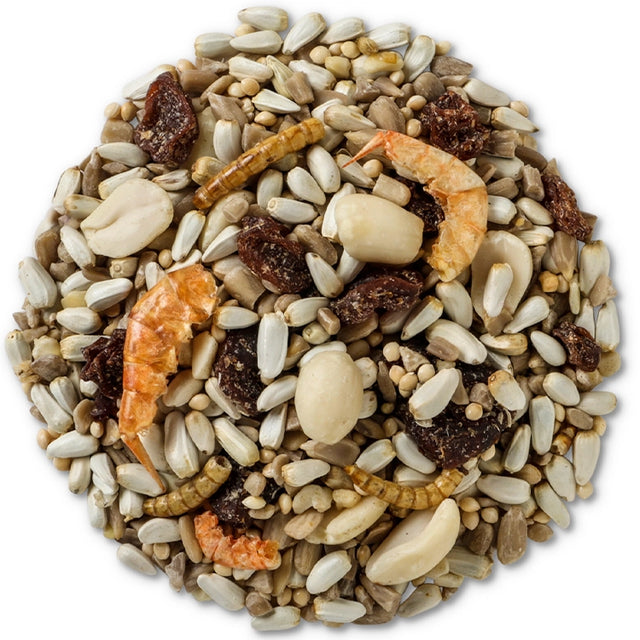 Brown's Nuts, Berries & Bugs Wild Bird Seed, 5-lb bag, featuring a mix of nuts, dried berries, mealworms, and shrimp for attracting various birds.