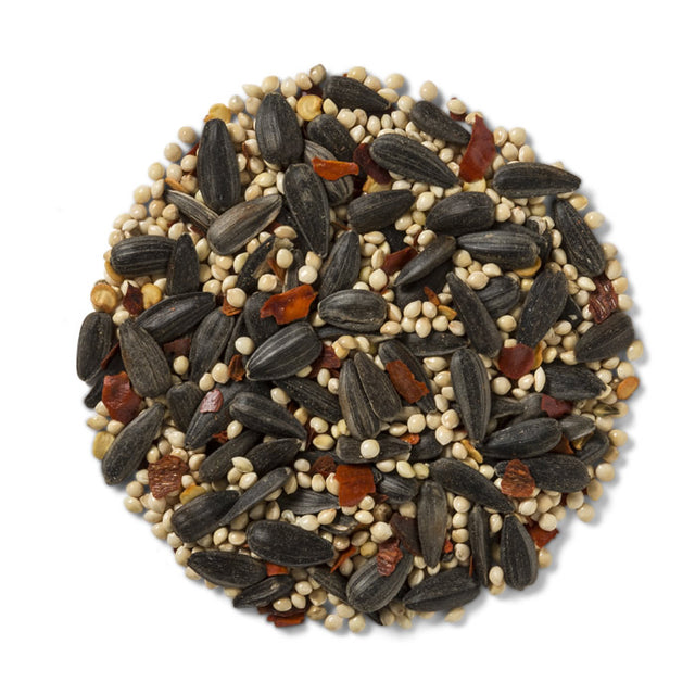 Brown's No Squirrels…Just Birds!™ Sunflower Wild Bird Seed, 5-lb bag features a blend of seeds with chili flakes to deter squirrels.