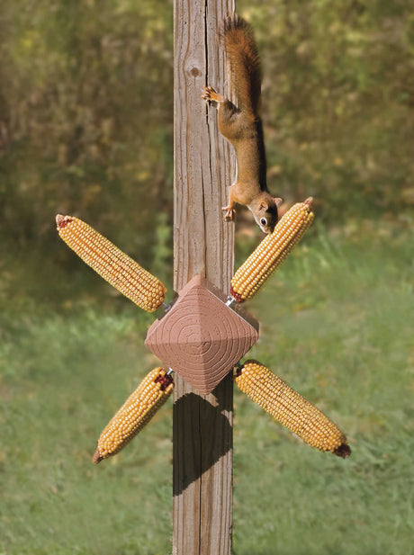 Squirrel Twirl Feeder with a squirrel climbing a wooden pole to reach spinning corn cobs for entertainment.