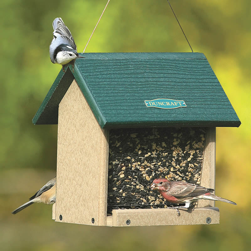 Duncraft Eco-Strong Songbird Hopper feeder with birds perched and eating seeds, featuring easy-fill roof and dual seed trays for multiple birds.