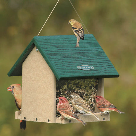 Duncraft Eco-Strong Large Hopper bird feeder with multiple birds perched and feeding, featuring clear side panels for seed level monitoring and two seed trays.