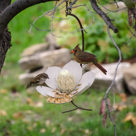 Single Magnolia Bird Feeder with flower-shaped design and rust-colored branch, providing a stylish and sheltered feeding area for birds.