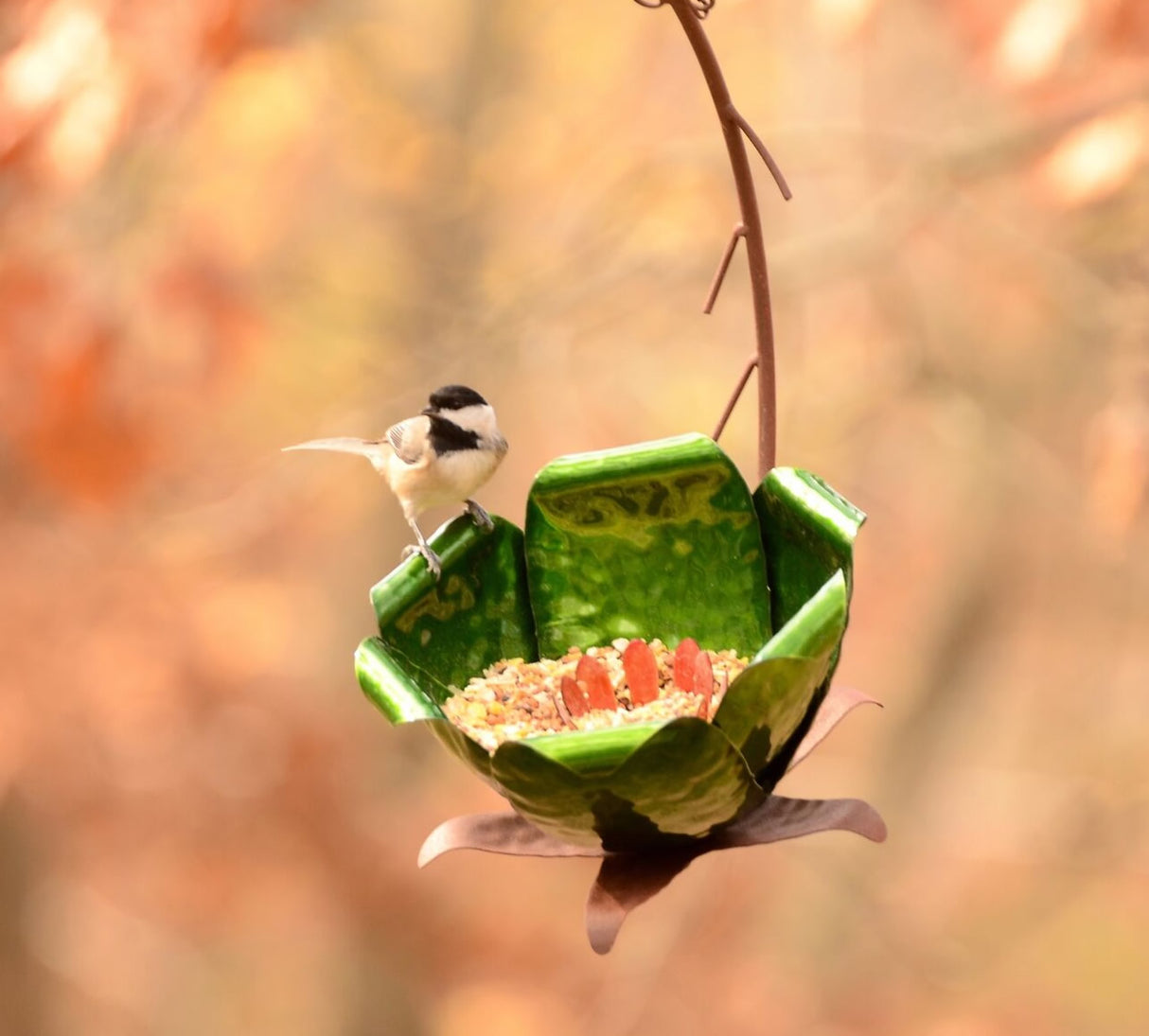 Tulip Tree Blossom Bird Feeder: A bird perches on the green, tulip-shaped galvanized steel feeder, designed to attract various birds with its easy-access seed area.