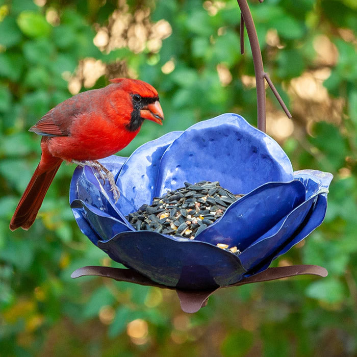 Mystic Merlin Bird Feeder with rounded petals, handcrafted steel, hanging design, and ample perching space, attracting various birds. Durable, rust-proof, and easy to refill.