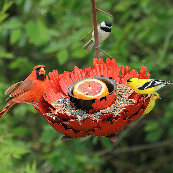 Coral Sunset Peony Bird Feeder: A red flower-shaped feeder with birds perched, featuring a removable center dish and ample perching space for various birds.