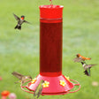 Hummer's Favorite Hummingbird Feeder with 6 feeding stations, built-in ant moat, and wide mouth for easy cleaning. Multiple hummingbirds feeding around the red feeder.